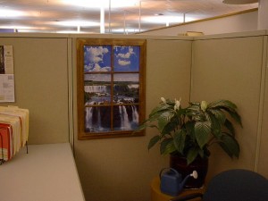 cubeview-picture-window cubeview-picture-window