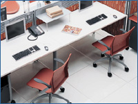 33diet_russet 33diet_russet