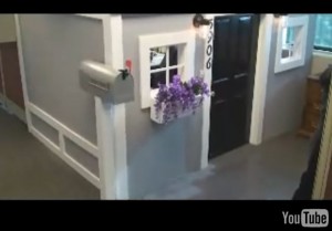 40 Cubicle house 40 Cubicle house