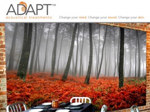 acoustictrade_adapt-image1-1307477974_tn